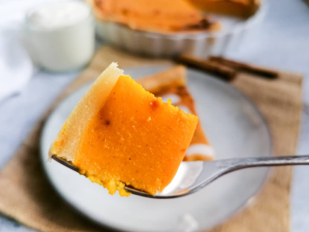 Kürbiskuchen - Original amerikanischer Pumpkin Pie