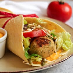 Falafel Wrap mit Hummus - Vegan