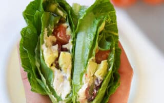 Low Carb Wrap vegan & Rohkost – Jetzt probieren
