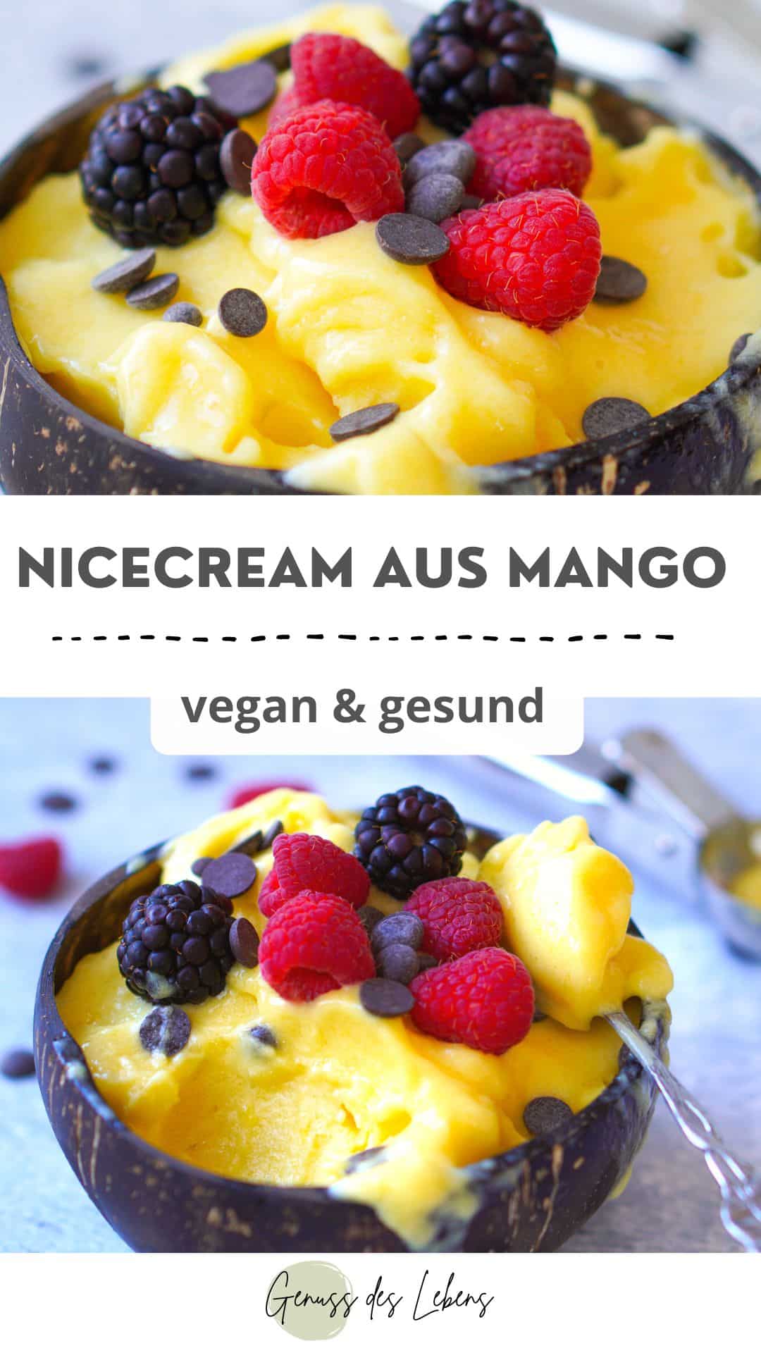Mango Nicecream ohne Banane | gesundes Eis ohne Eismaschine