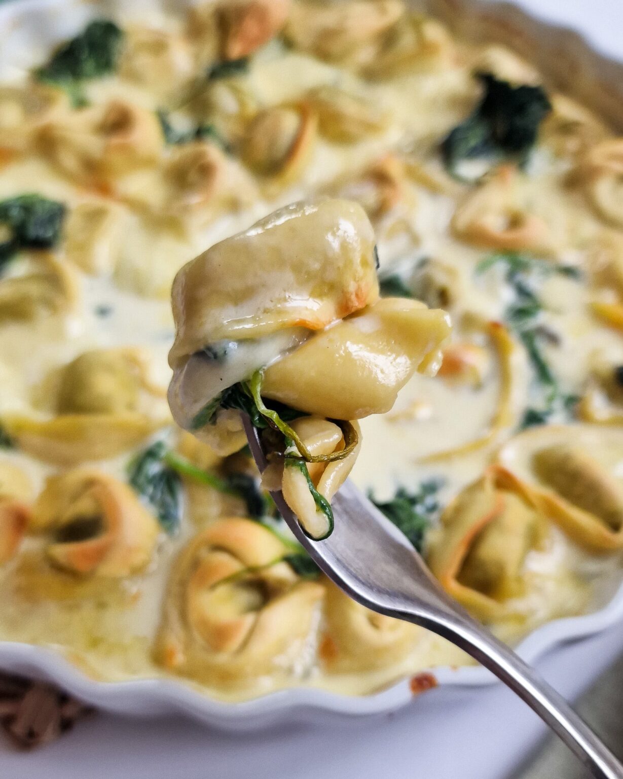 Tortellini Auflauf mit Gorgonzola - Genuss des Lebens: Gesunde Rezepte
