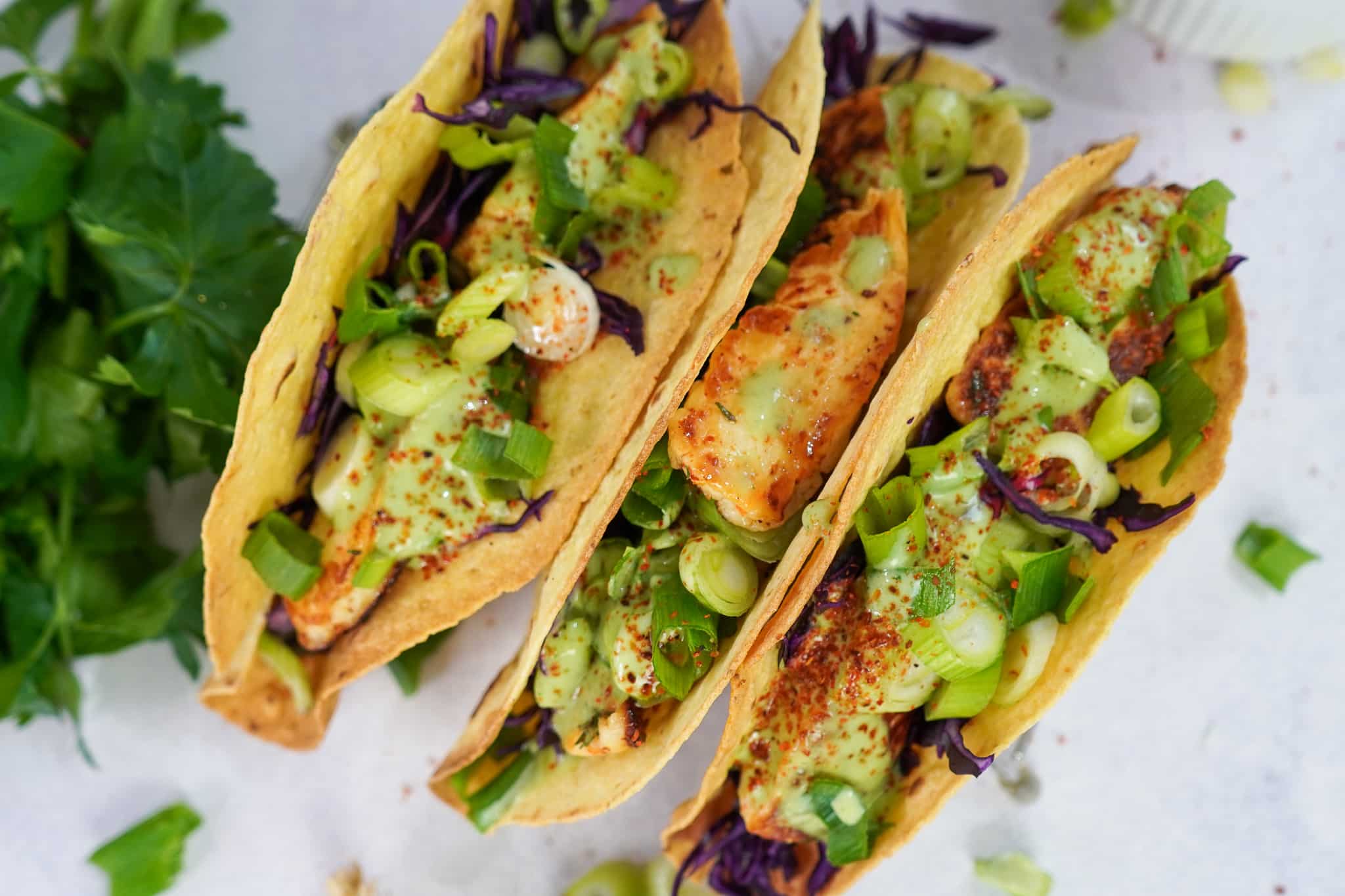 Tacos mit Halloumi und Joghurt-Soße